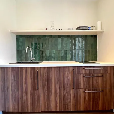 Pepiniere Renove Et Equipe * 南锡