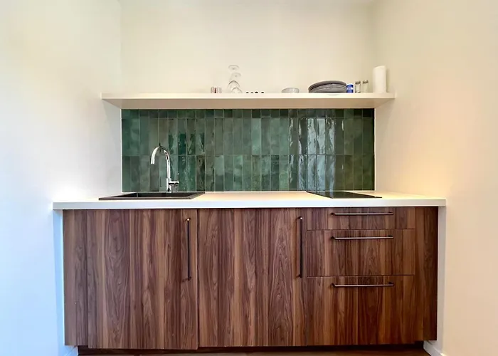 Pepiniere Renove Et Equipe * 南锡